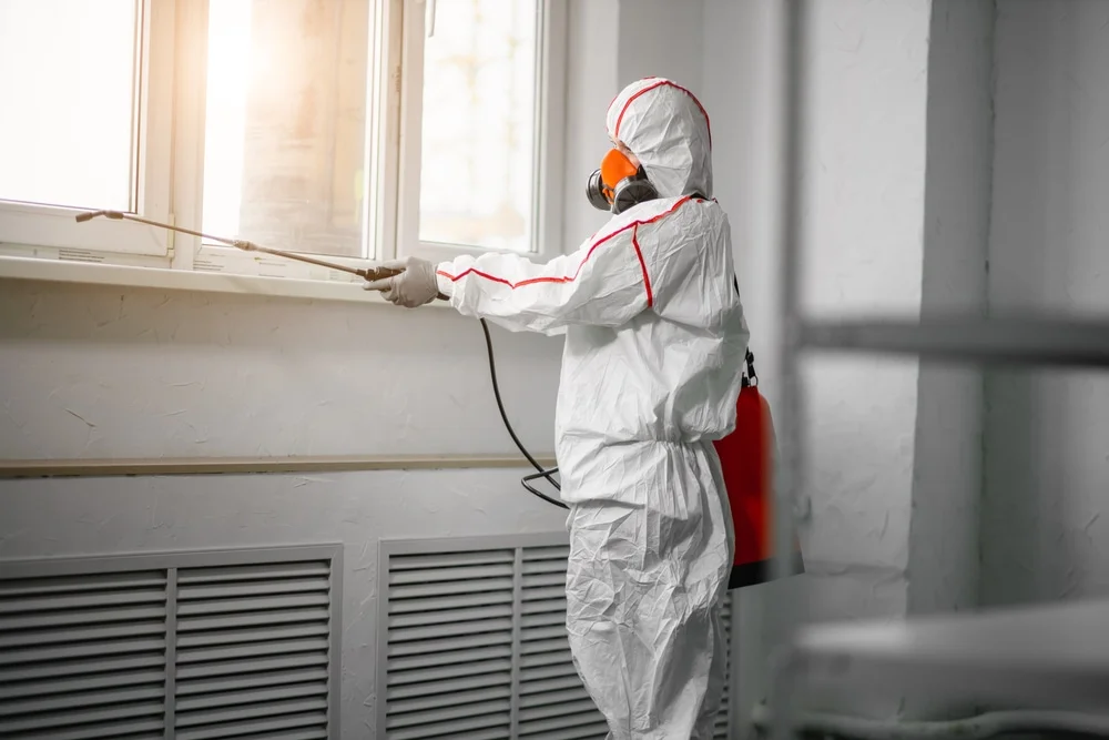 Professional mold remediation services in Pass Christian, MS